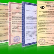 Декларации, сертификаты на медицину