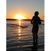 Снасти для рыбалки фото