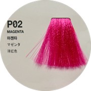Краска Антоцианин Пурпурный (Magenta) P02 фото