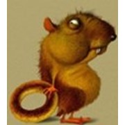 Дератизация фото