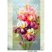 Рисовая карта 100696 фото