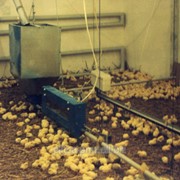 Комплекты оборудования для напольного выращивания и содержания птицы мясных пород и кур-несушек ЦБК, КМК, ОПБ-1, ОПБ-2