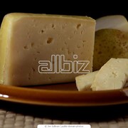 Сыры полутвёрдые, Сыр сычужный полутвердый “ Волокнистый“ ( палочки сырные, палочки копченые, косичка обычная, моцарелла) фото