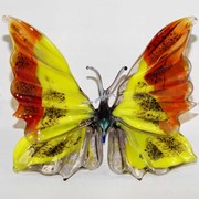 Бабочка красивая 7