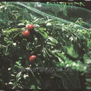 Сетка защита от птиц ORTOFLEX зелёная, размер: ячейки 12х10мм, рулона 250х4м - Италия фото