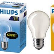 Лампа накаливания Philips E27 100W 230V A55 CL 1CT/12X10F Stan фотография