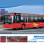 Автобусы городские Neoplan фотография