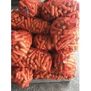 Морковь второго сорта оптом фотография
