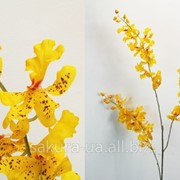 Орхидея / 1,2 м / Желтый e30116