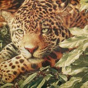 Картина Леопард в джунглях