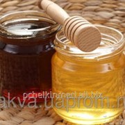 Гречневый мёд фотография