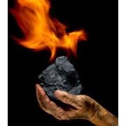 Уголь каменный Марка Д (длиннопламенный) фото