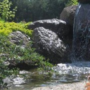 Устройство прудов, ручьев и водопадов в саду фотография