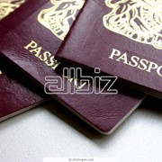 Оформление загранпаспортов и детских проездных документов фото