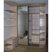 Шкаф-купе 19 фото