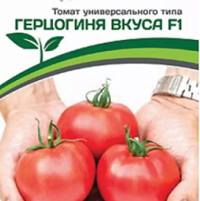 Томат Герцогиня Вкуса Фото