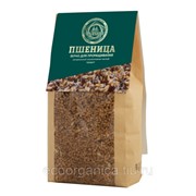Пшеница алтайская для проращивания 800 гр