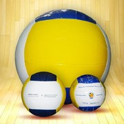 Мяч волейбольный фото