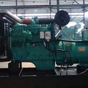 Дизельный генератор Rusenergo-Enterprise АДК-260-1 Cummins (Ном.мощн. 260 кВт)