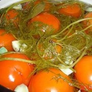 Продам соленые помидоры ОПТОМ фото