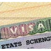 Шенгенские визы в Польшу.Шенген виза фото