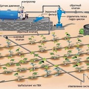 Расчет и монтаж линий капельного полива фотография