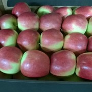 Яблоки разных сортов фотография