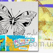 Розмальовка з мольбертом Метелик код 4-RM-2525 фото