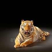Фотопечать на стекле D0103 фото