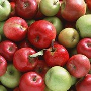 Яблоки разных сортов, плодоовощные культуры фото