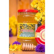 Мед натуральний зібрано з квітів садів та весняного різнотрав`я банка 480г