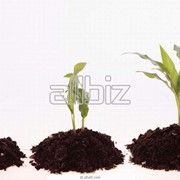 Стимуляторы роста растений. Органо-минеральные удобрения фото