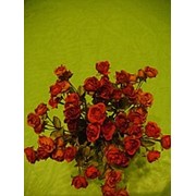 Роза *54 Код р256 Роза - букет с 54 цветочками, высота 40см, диаметр 30см фото