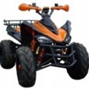 Квадроциклы спортивные ATV GODZILLA SPORT 150 A