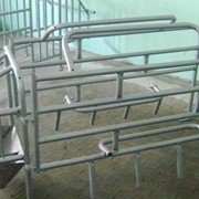 Опоросный станок фото