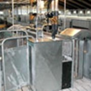 Станции автоматического кормления свиней (Транспондер) фото