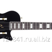 Гитара Traveler Guitar EG-1 Custom V2 Black фото