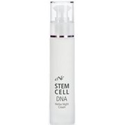 Питательный ночной крем. Face one Stem Cell DNA Herba Night Cream