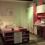 Мебель для девочек, спальня для девочки Артикул: FOUR LEAVES фото