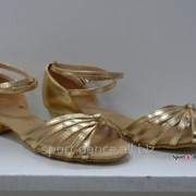 Туфли для бальных танцев, каблук 3 см золото фотография