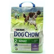 Сухой корм для собак DOG CHOW ADULT LAMB 14 кг фото