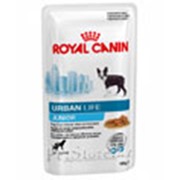 Корм для собак Royal Canin Urban Life Junior Pouch фото
