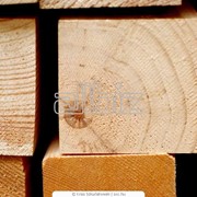 Брус (сосна, елка, бук, ясен, ольха) фото