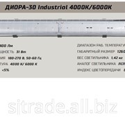 Светильник светодиодный промышленный Диора-30 Industrial фотография