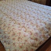 Одеяло Камелия (155х210 см)Bilana фото
