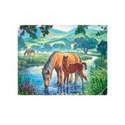 Картина по номерам Лошадь и жеребёнок 40х50см (30417)