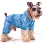 Комбинезон для собак на осень Raincoat фото