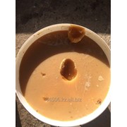 Мёд высокогорный тёмный фото