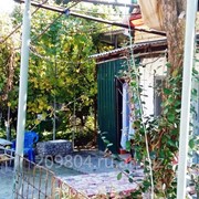 Летний домик с фруктовым садом 8 соток. 5 мин. до моря. Абхазия. Цандрипш. фото