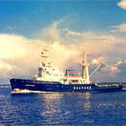 Буксир-спасатель морской проект 1454
